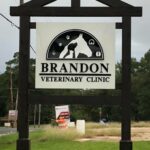 Brandon Veterinary Clinic -1